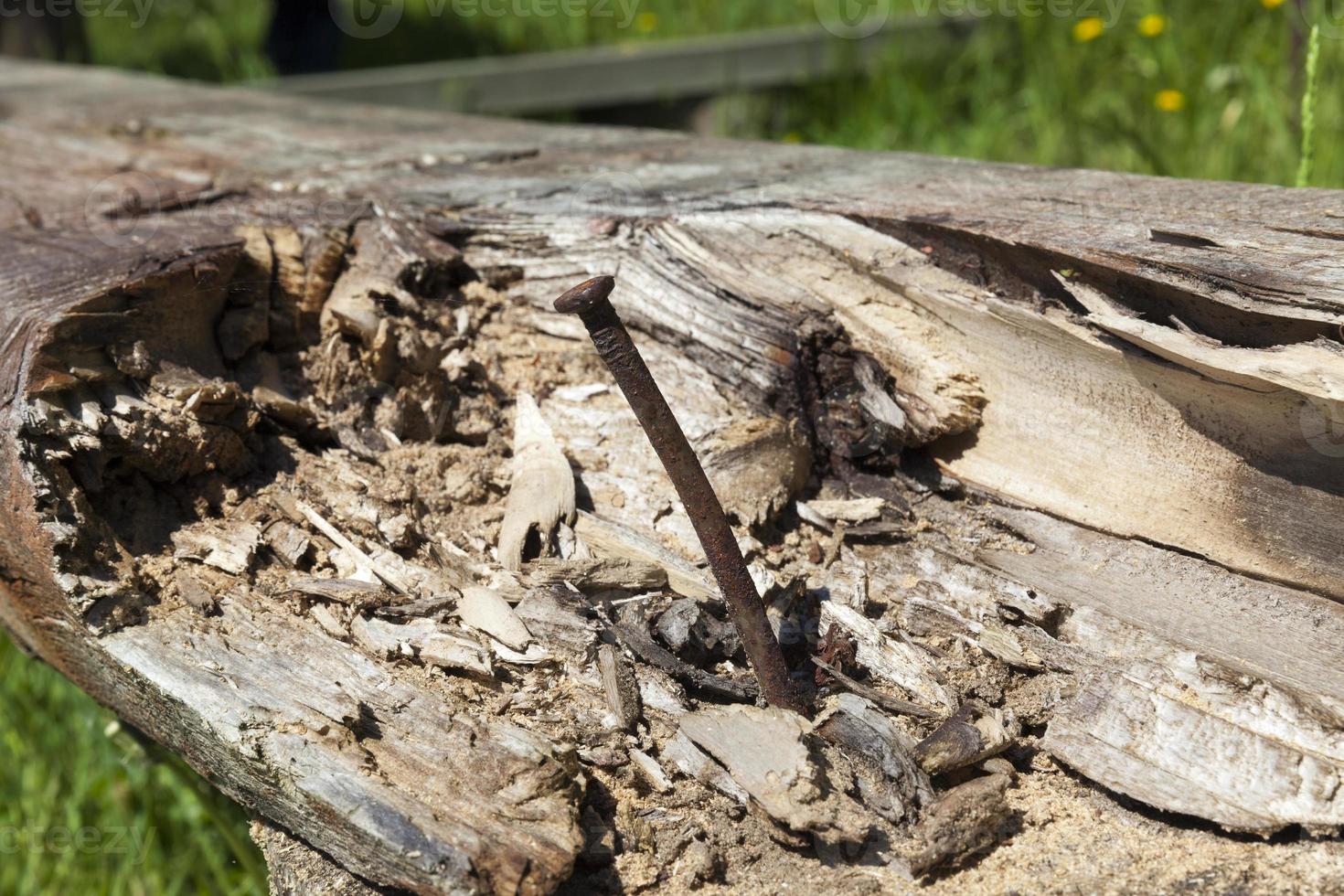 rusty metallic nail photo