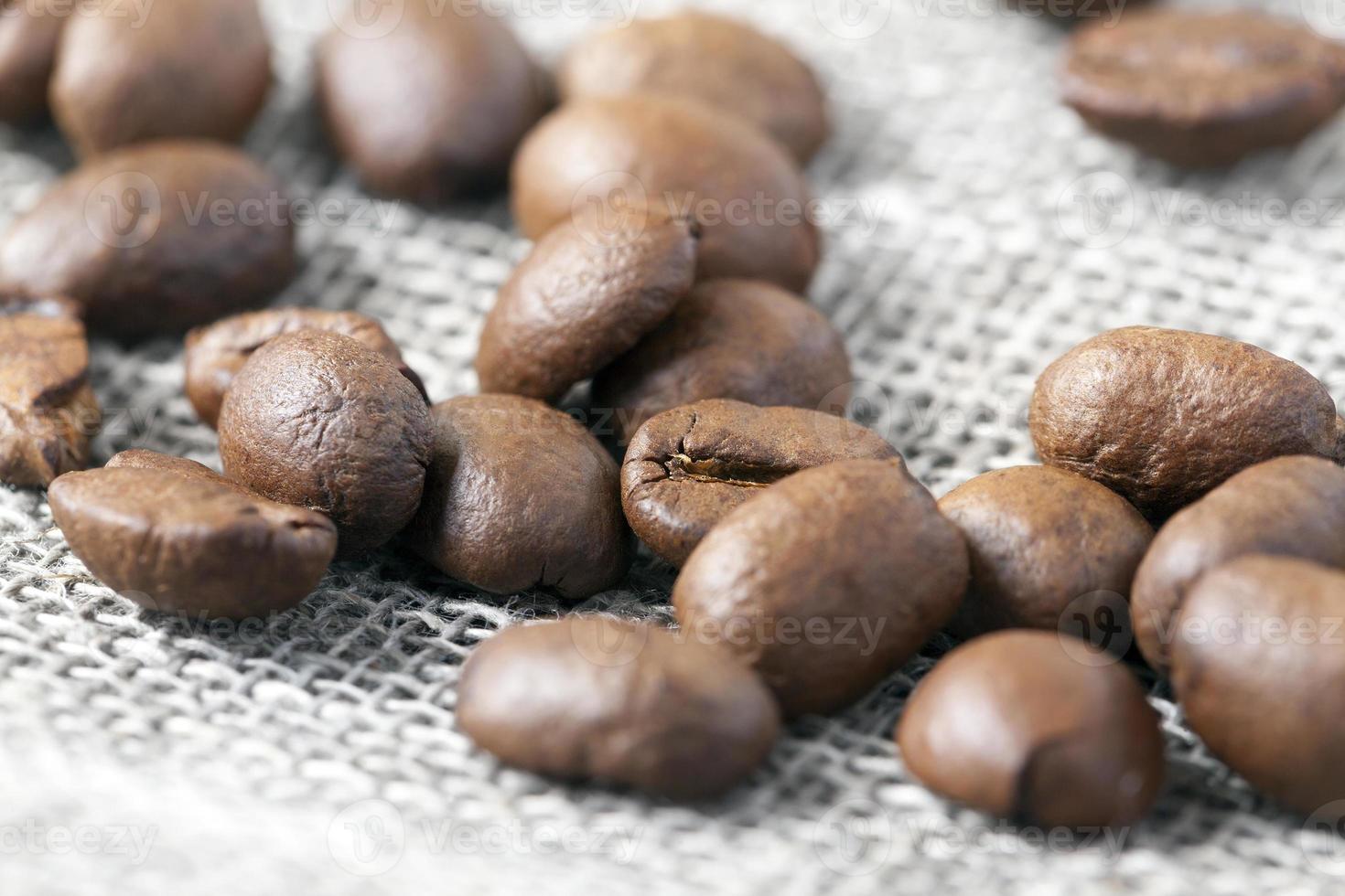 roasted coffee beans photo