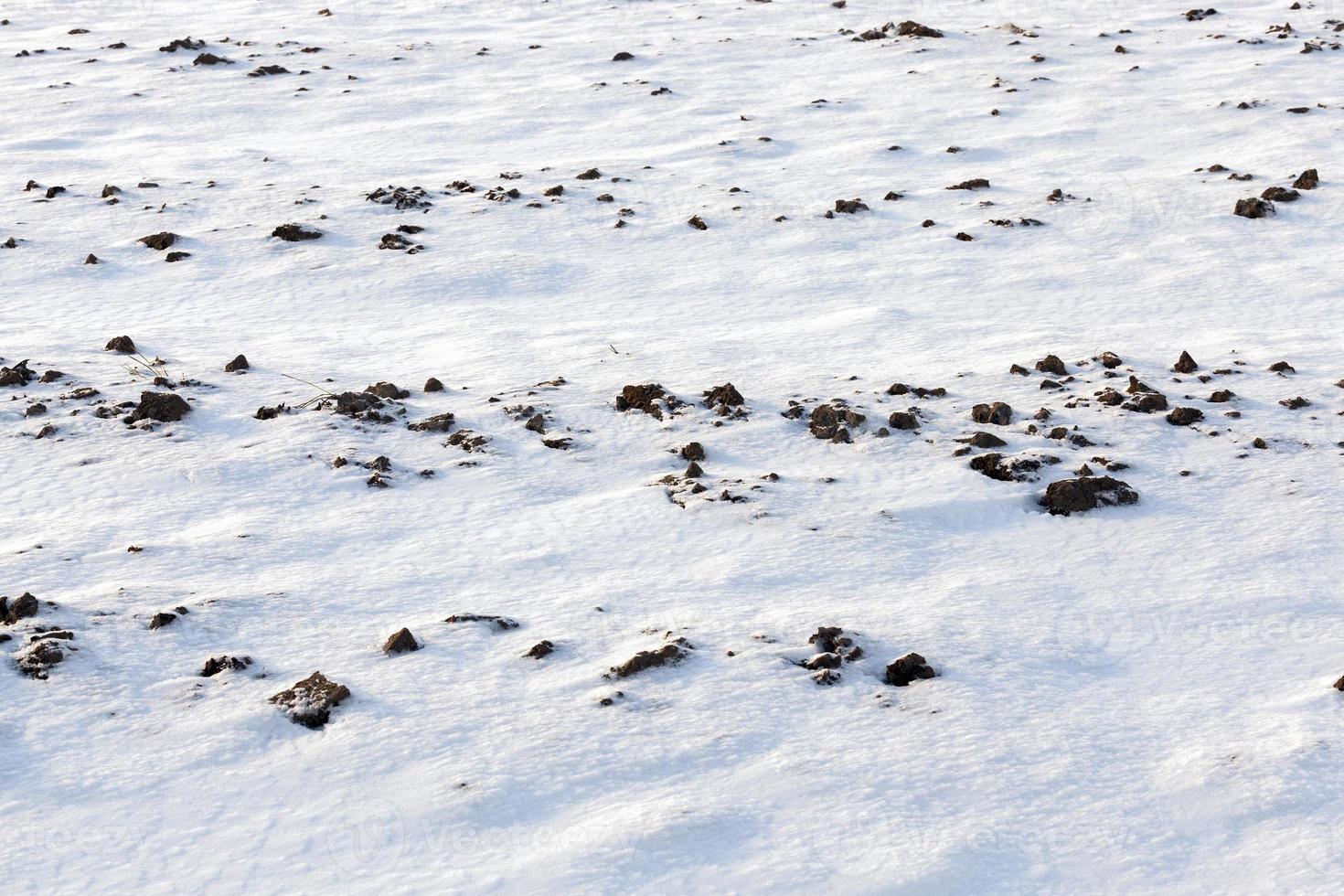 Snow drifts in winter photo