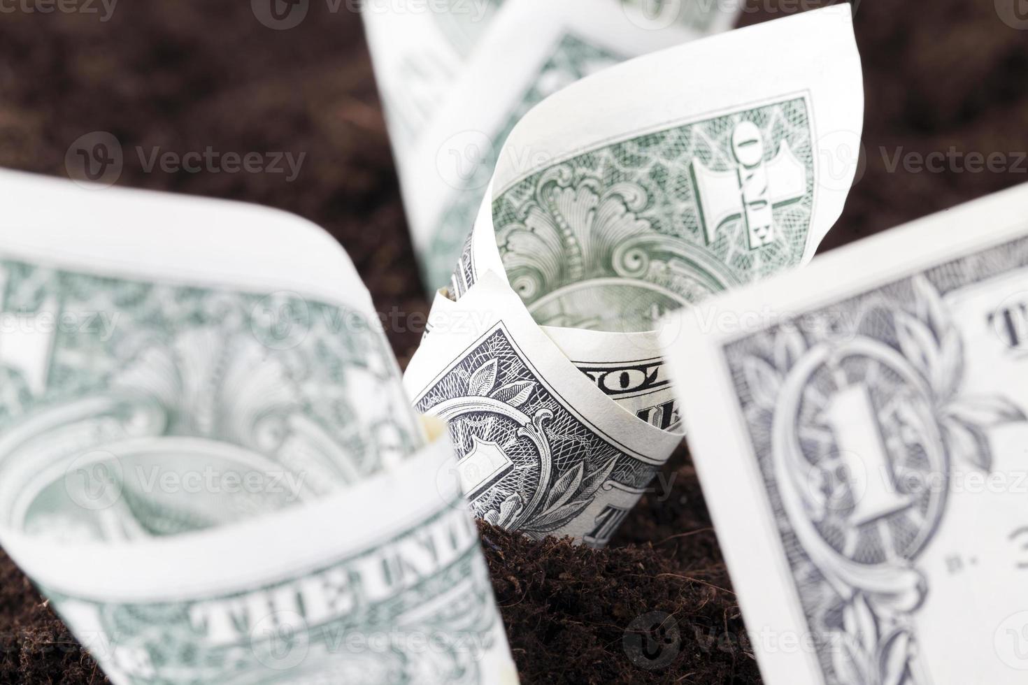 concept of money photo