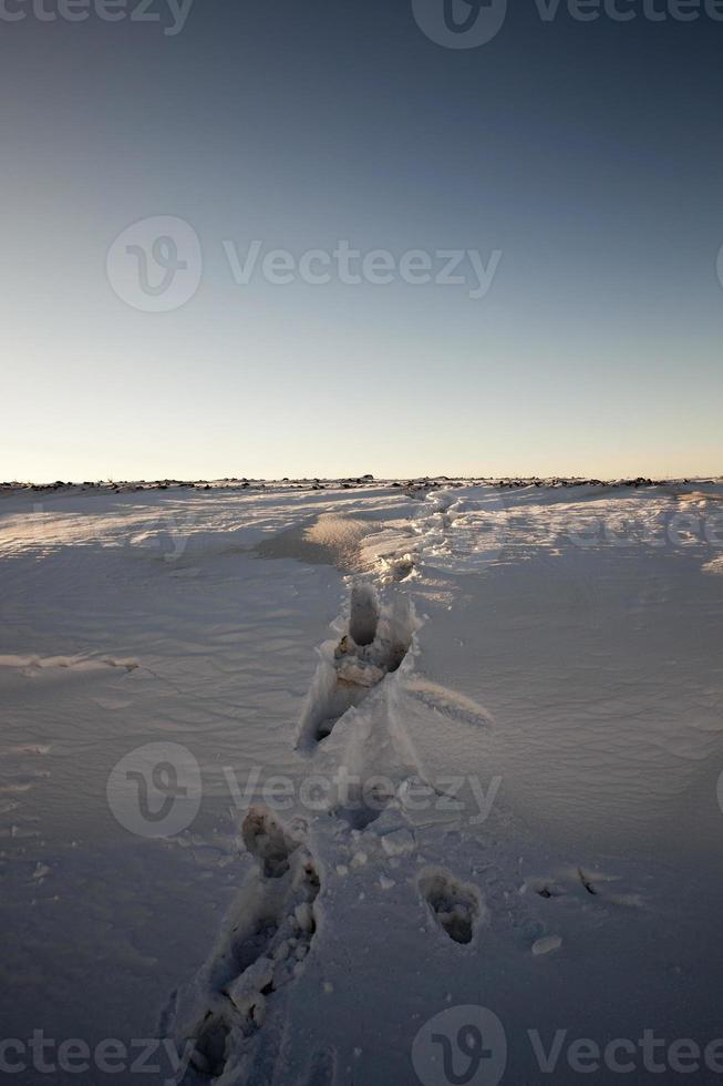 Winter season, field photo