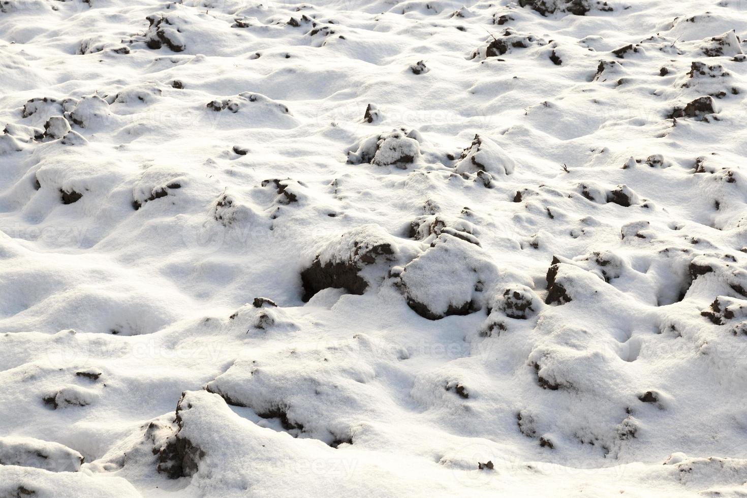 land covered with snow, close up photo