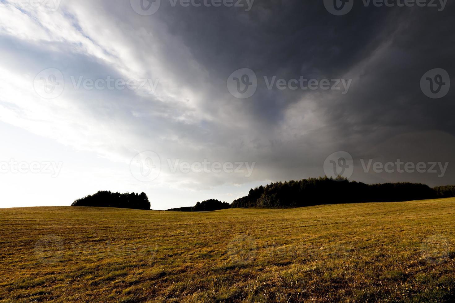 autumn landscape, field photo