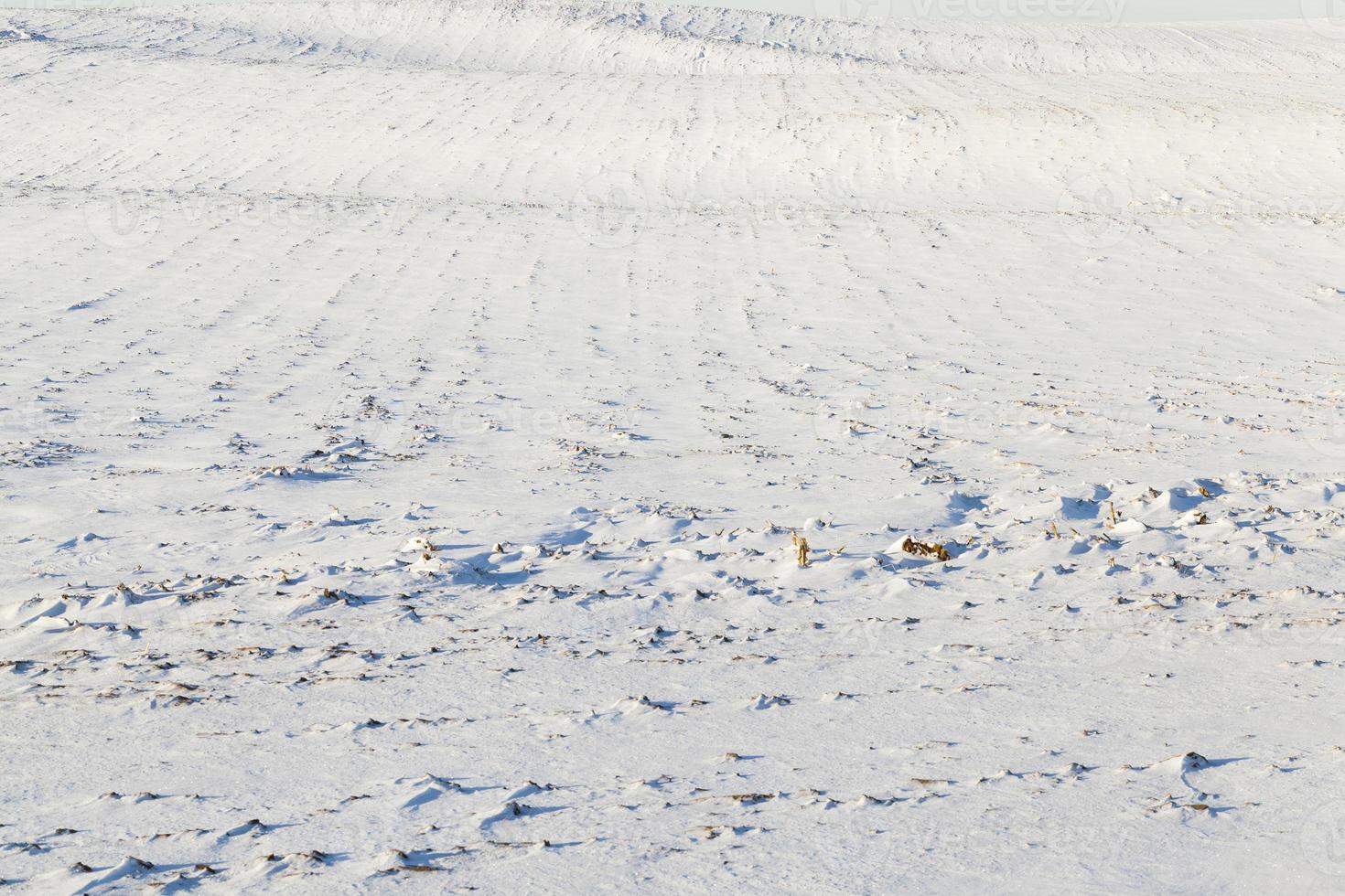 Photo of snow, close up