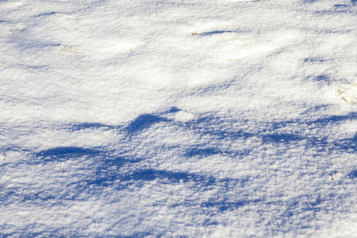 bumps in the snow, winter photo