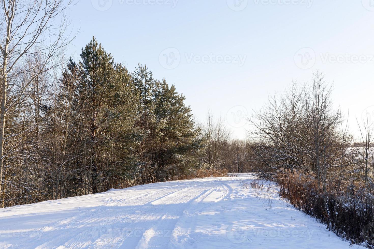 traces of the car in the snow photo