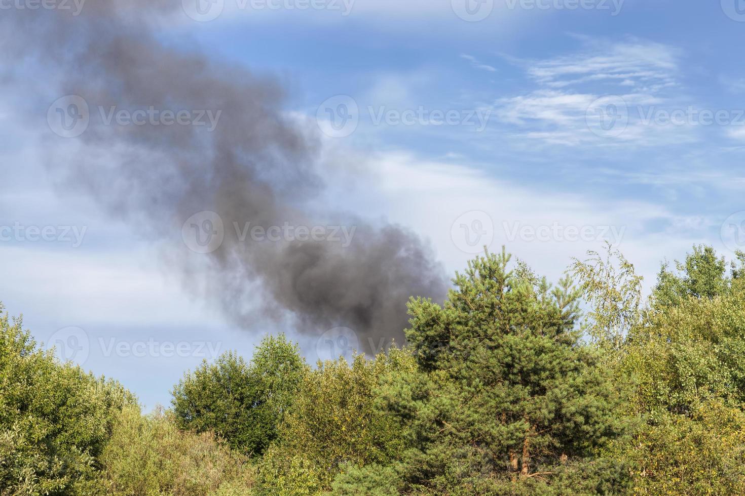 black smoke from burning forest trees and buildings photo