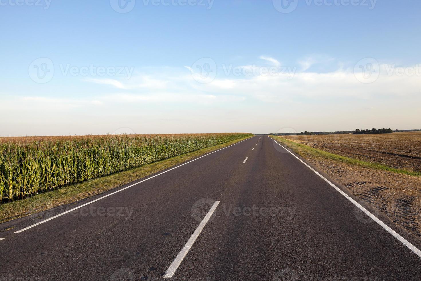small paved road photo