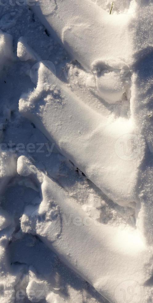 Road under the snow photo