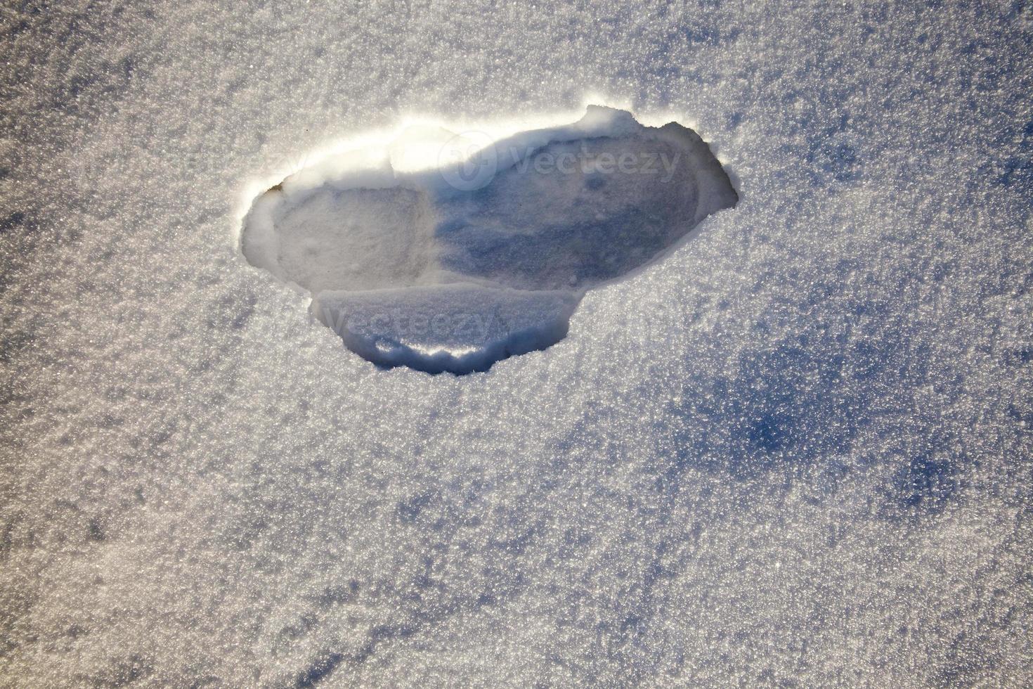 surcos en un camino cubierto de nieve foto