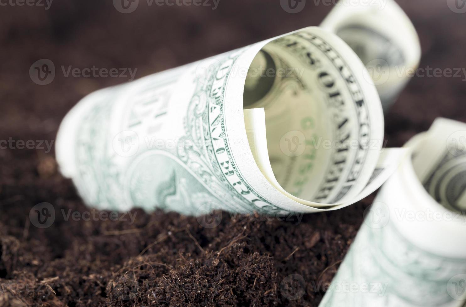 one dollar cash photo