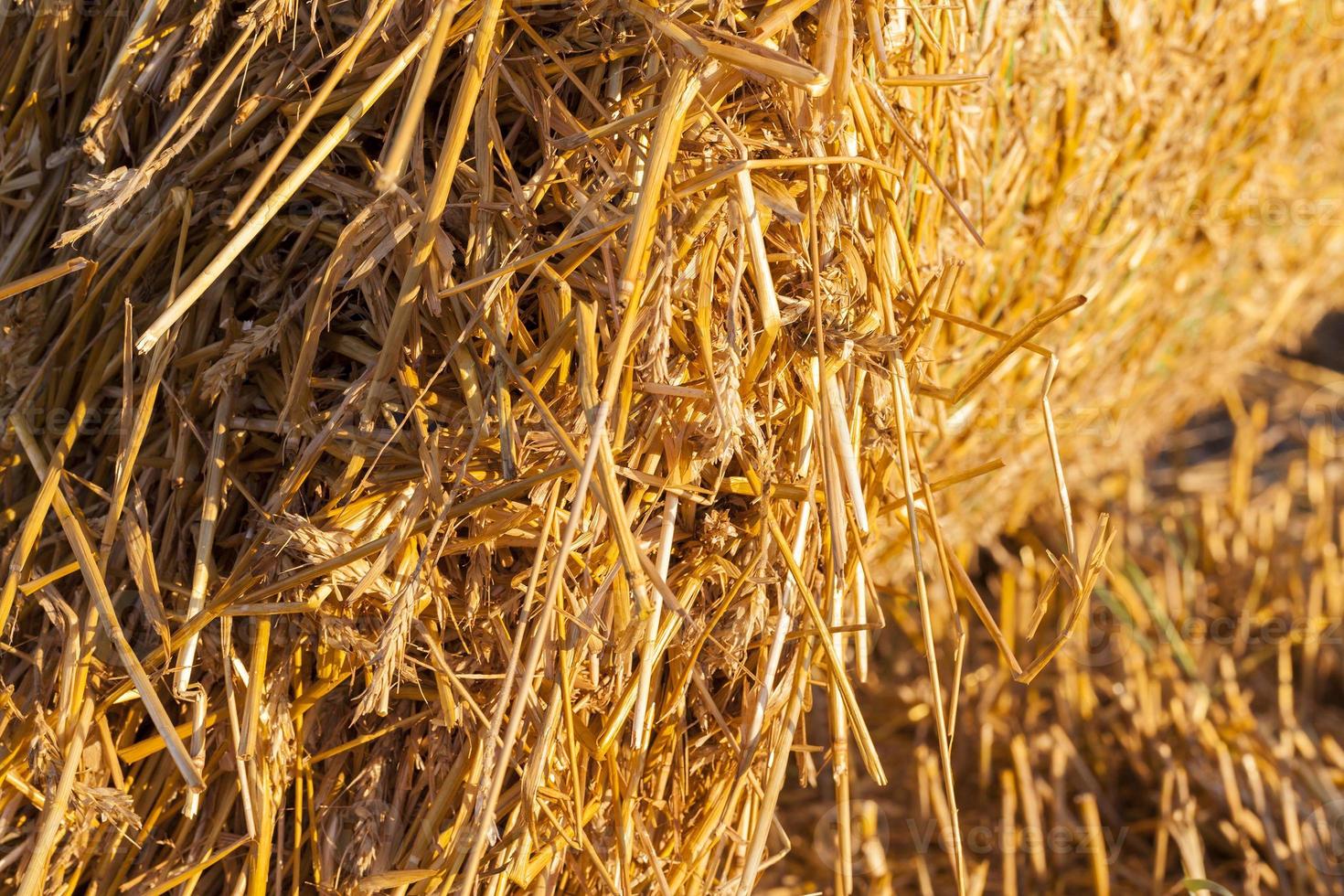 Straw stacks, close up photo