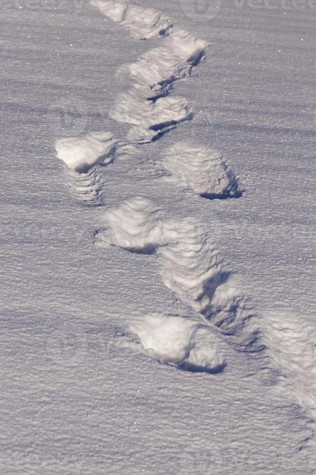 Deep snowdrifts, close up photo