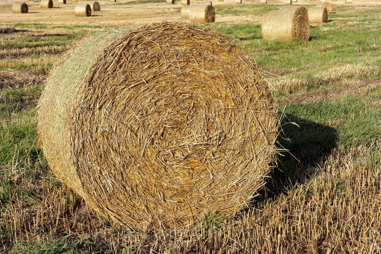 tightly bound straw stack photo