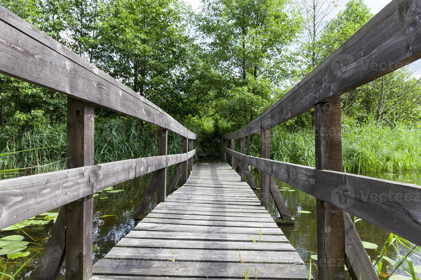 old wooden bridge built on the lake photo