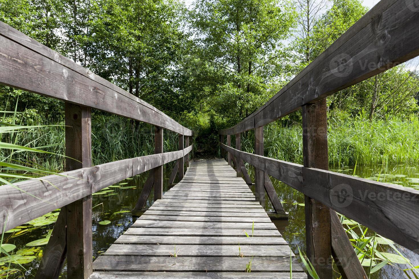 old wooden bridge built on the lake photo