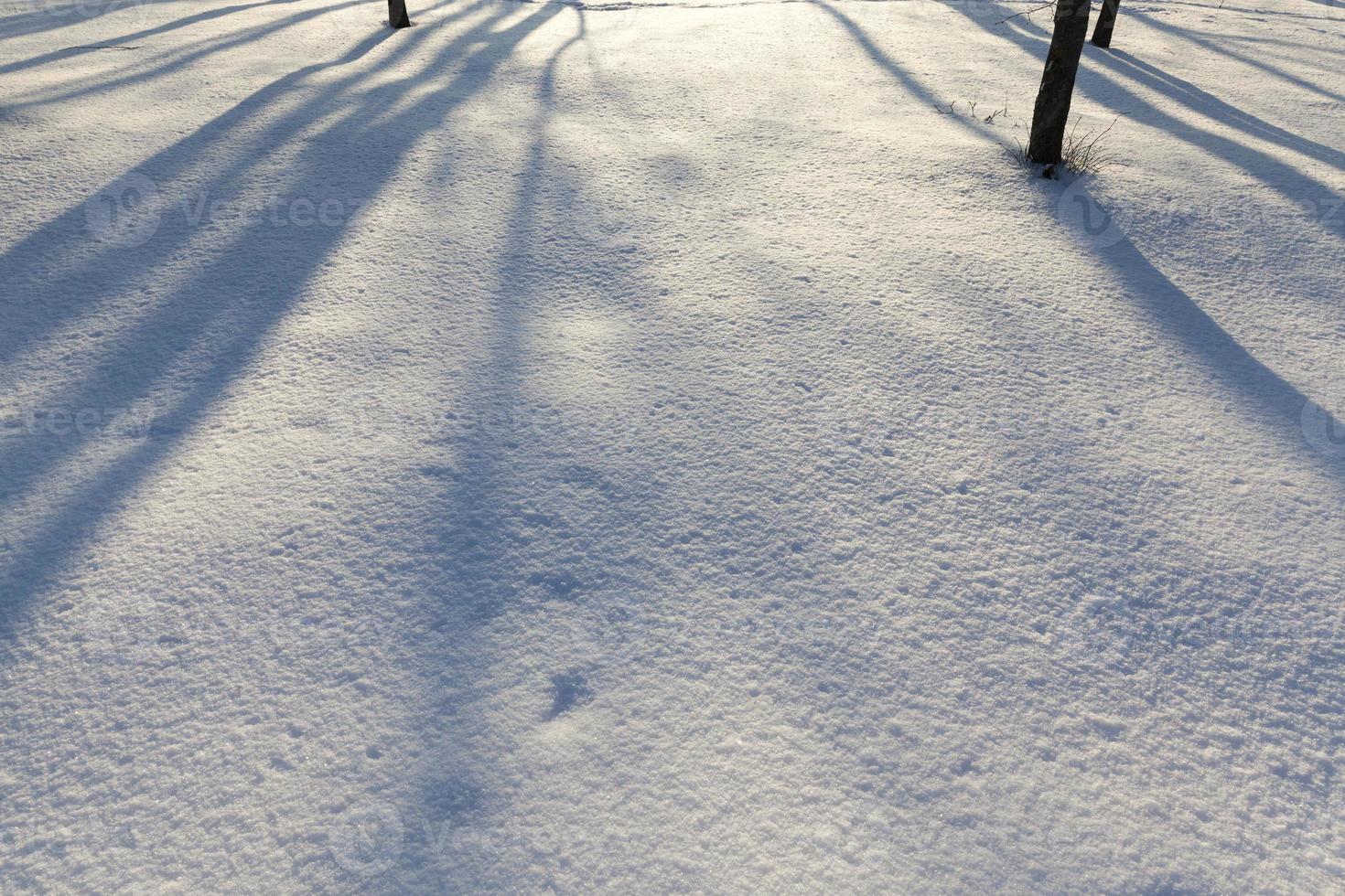 winter cold weather after the snowfall photo