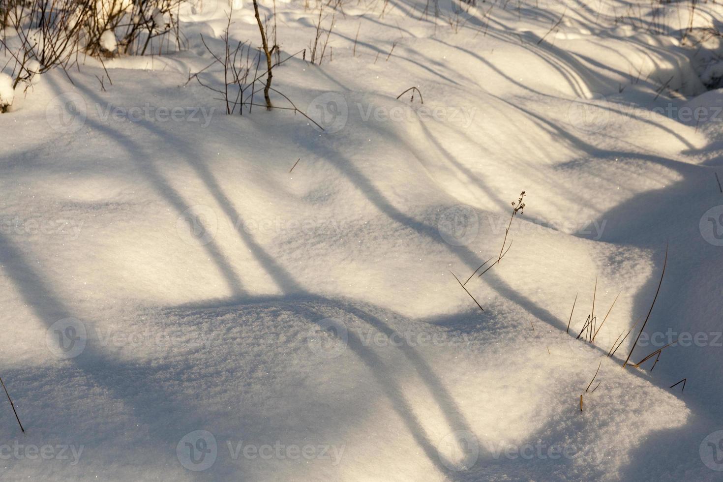 beautiful natural phenomena of the winter season photo