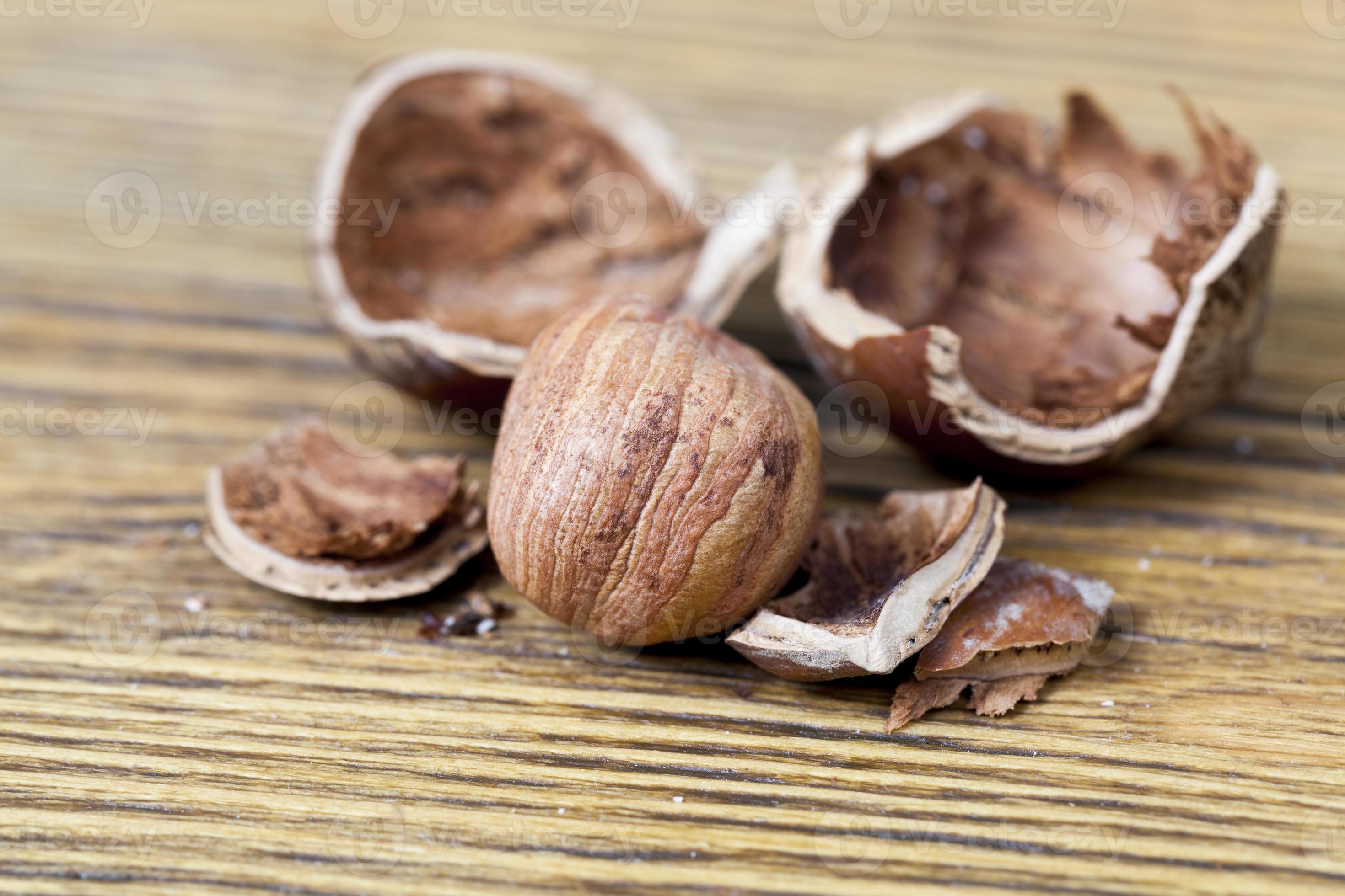 hazelnut shell, close up 9713454 Stock Photo at Vecteezy