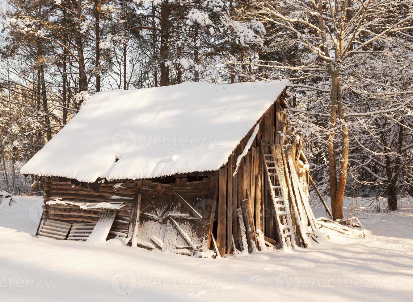 old wooden shed photo