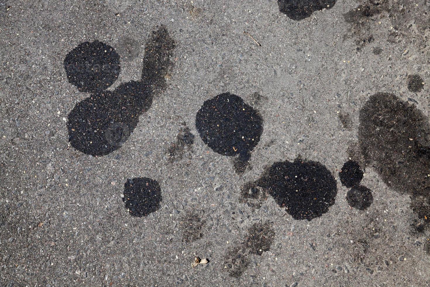 car oil stains on an asphalt road photo