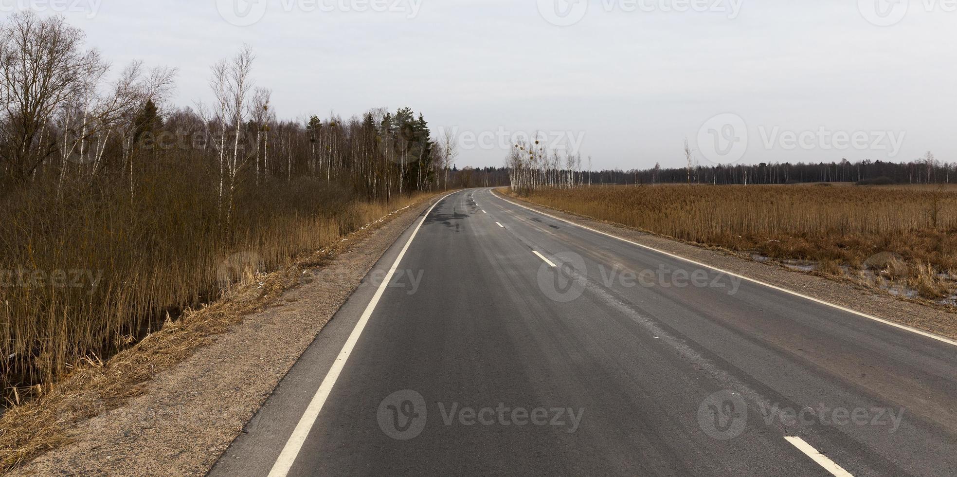 asphalt road and forest photo