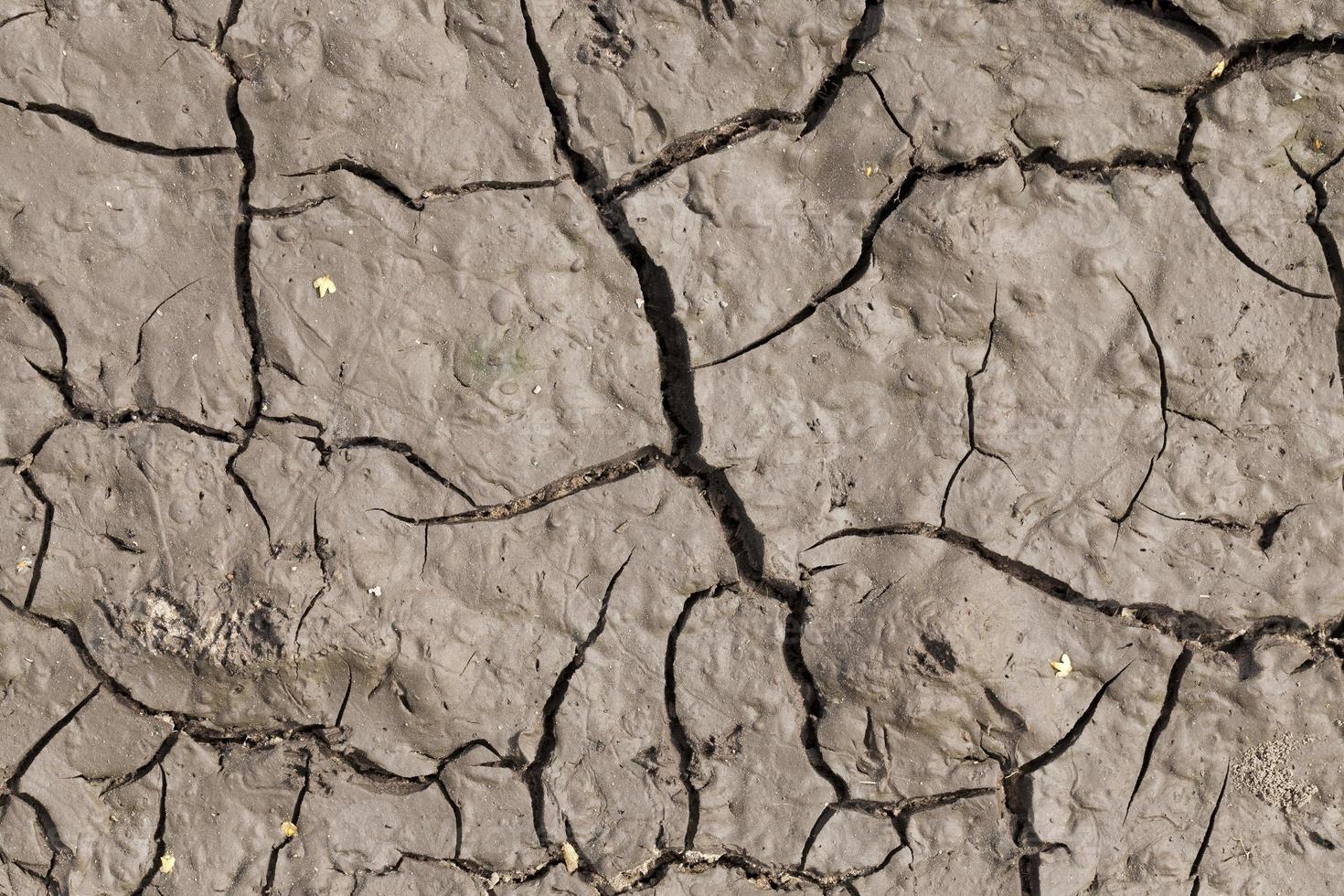 cracks and chips, soil photo