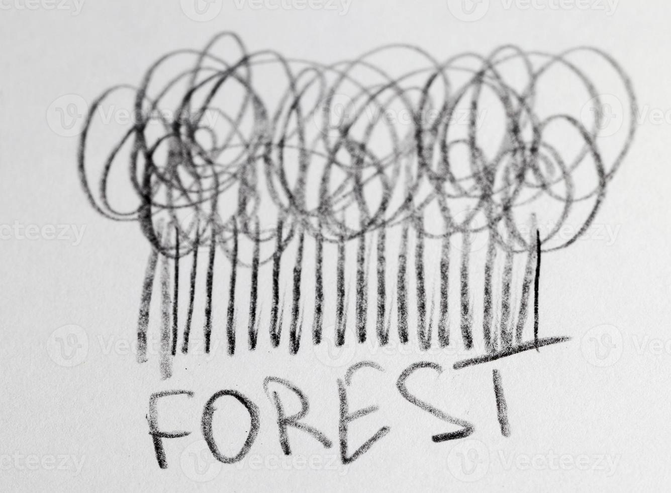 forest drawn in pencil photo