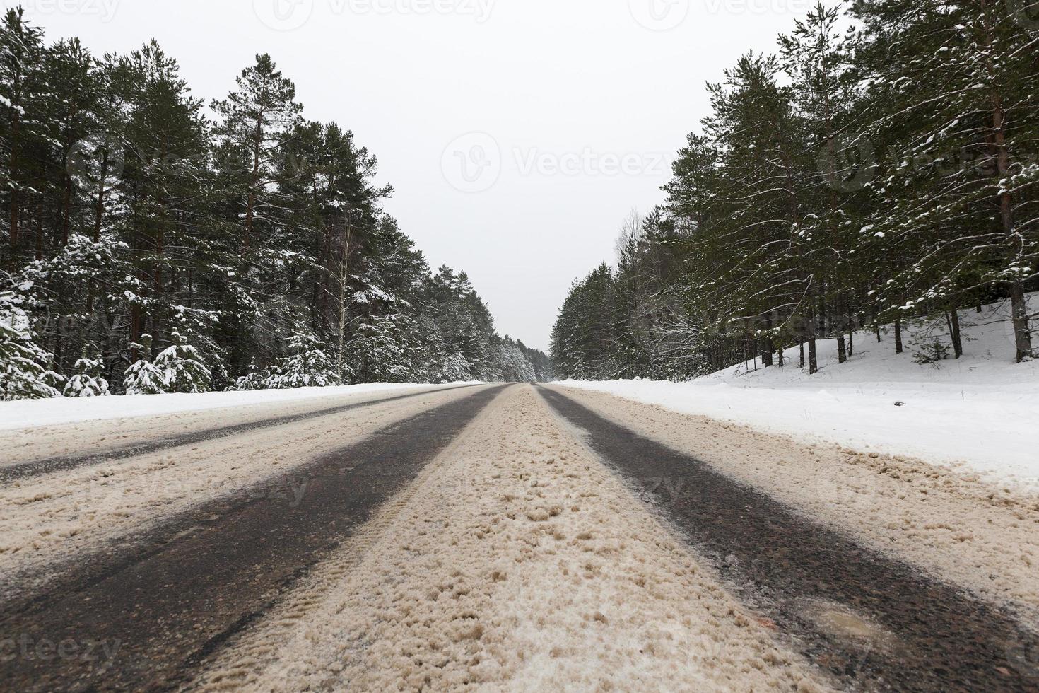 camino bajo la nieve foto