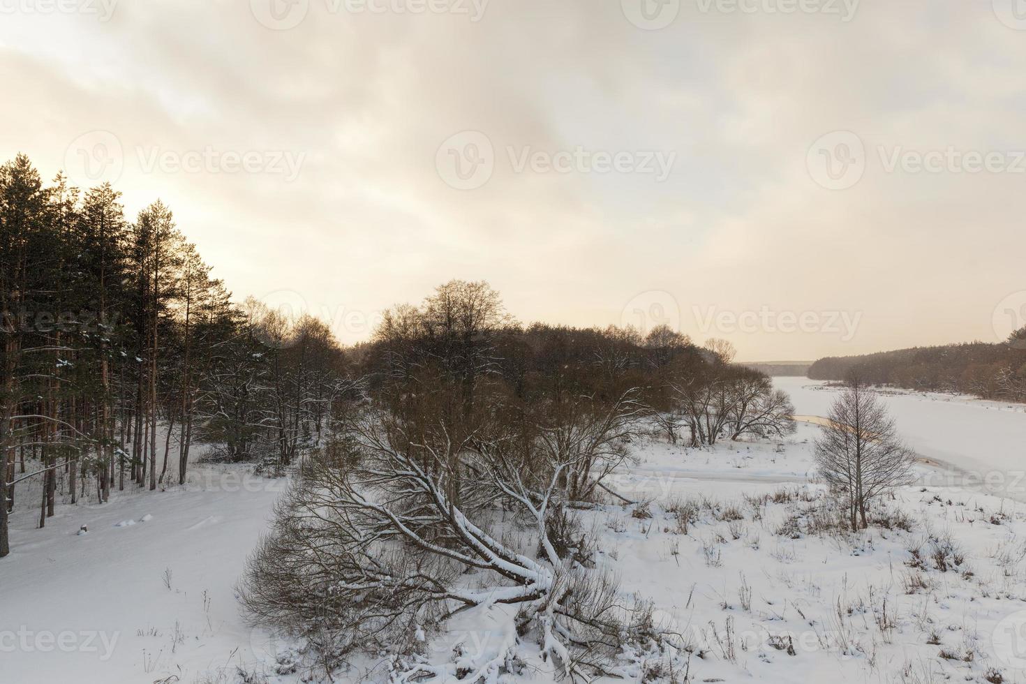 snow and ice covered grass photo