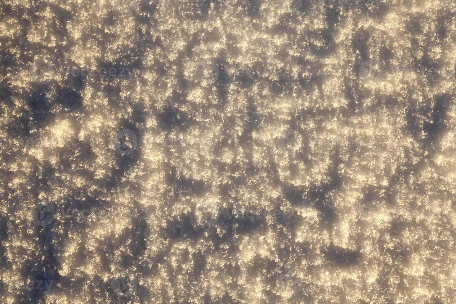 After snowfall, close up photo