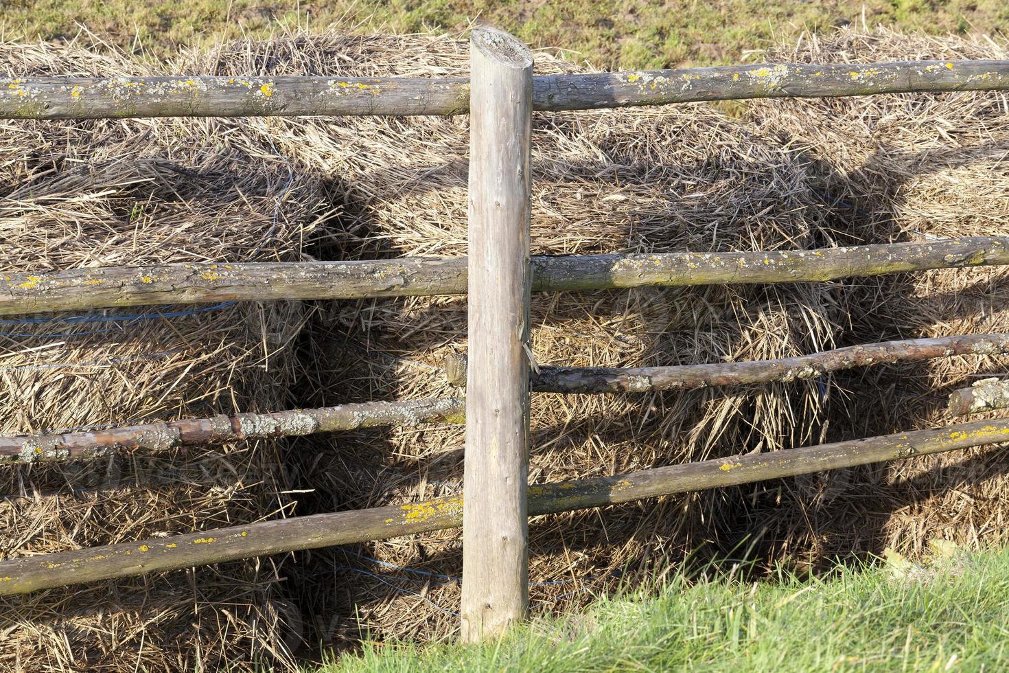 Stacks of old straw photo