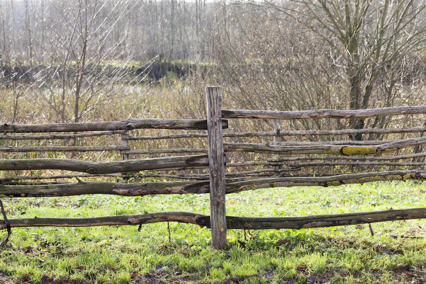 wooden fence, close up photo