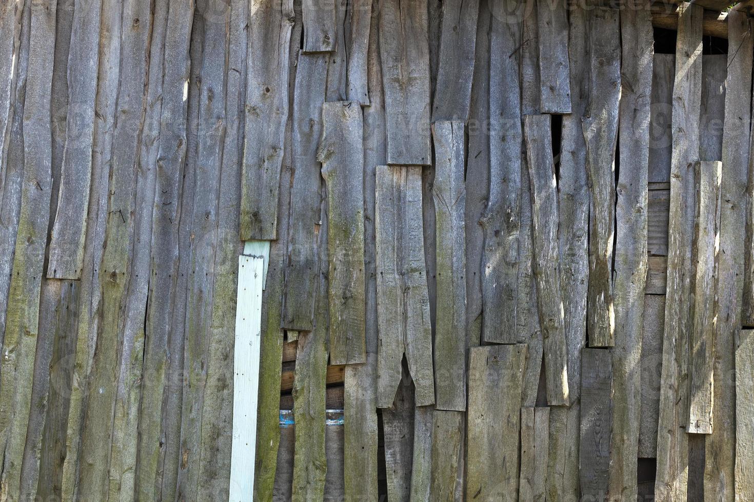 shed of wood, photo