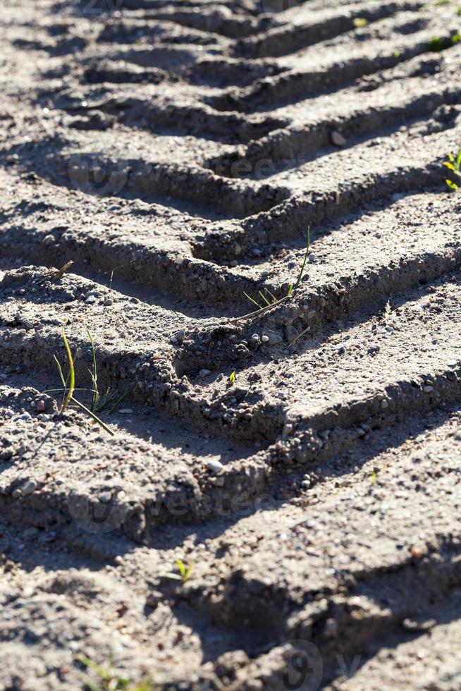 wet soil, close up photo