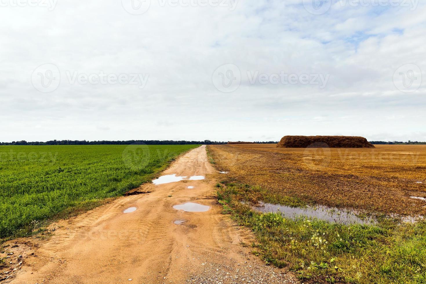 rural road, field photo