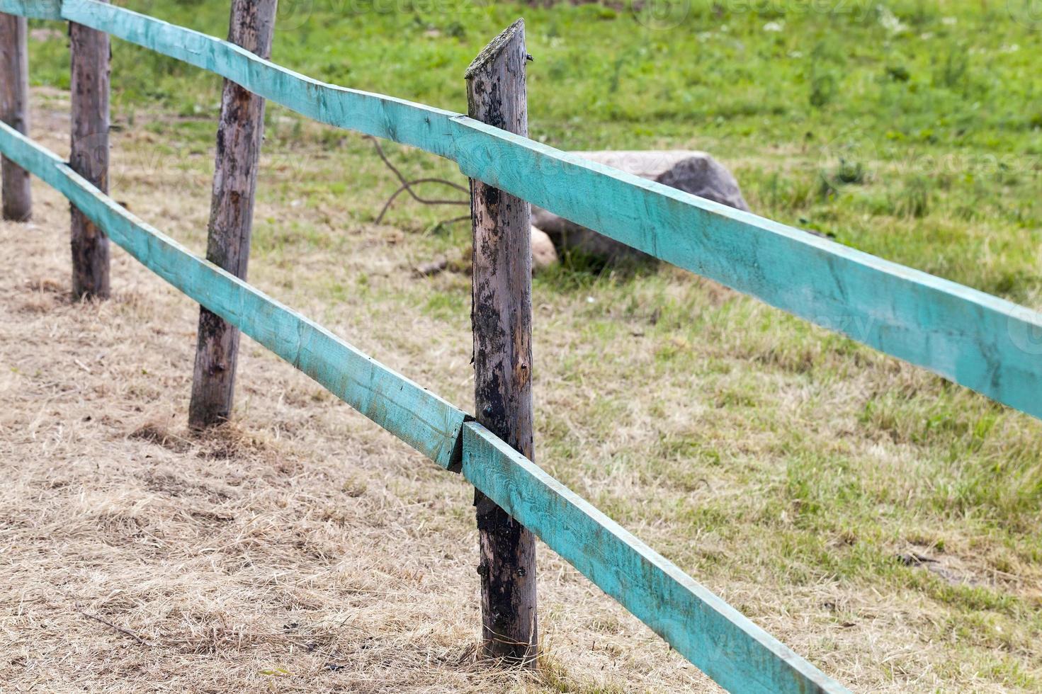 simple and primitive fence photo