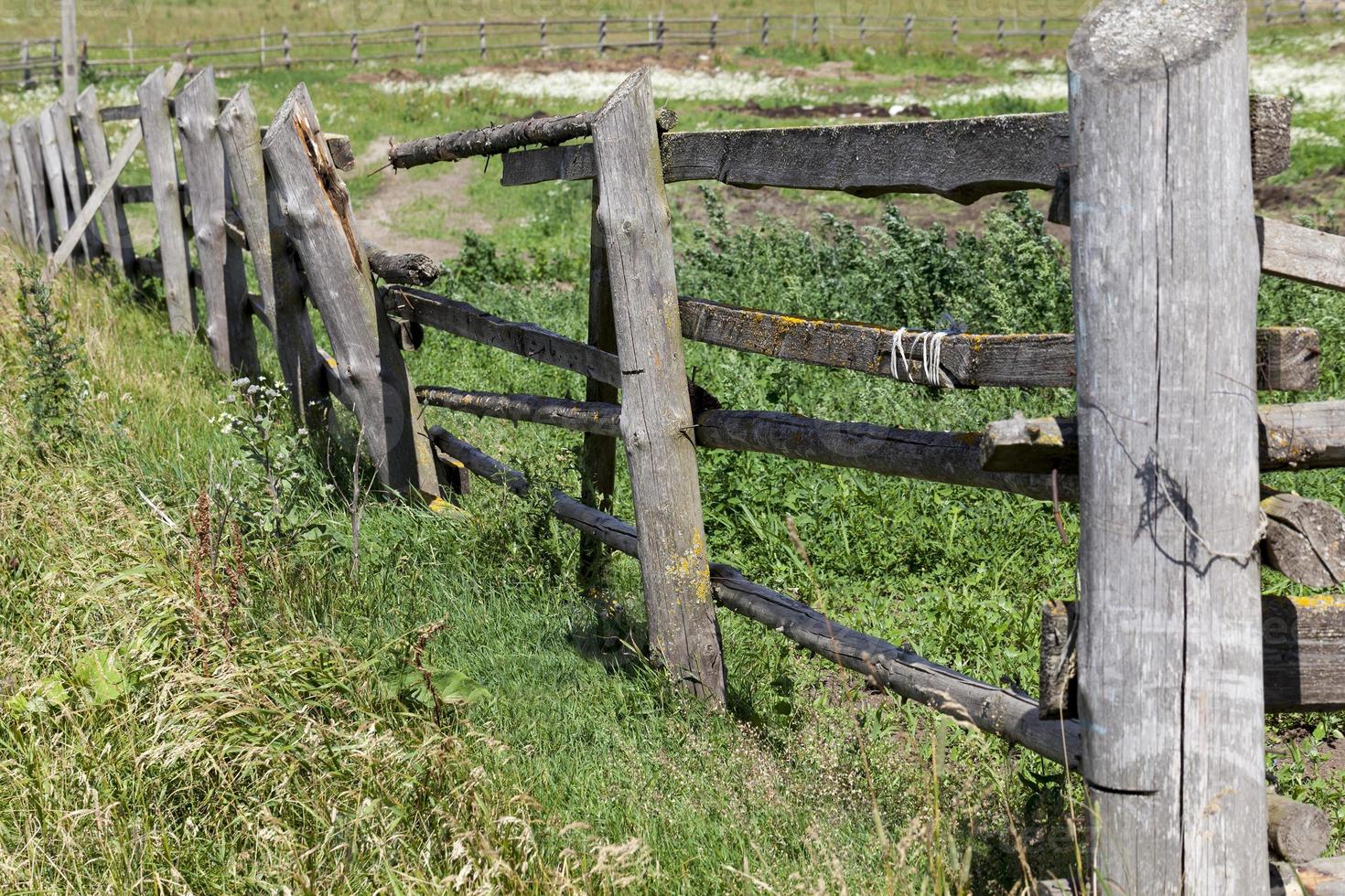 old and primitive fence photo