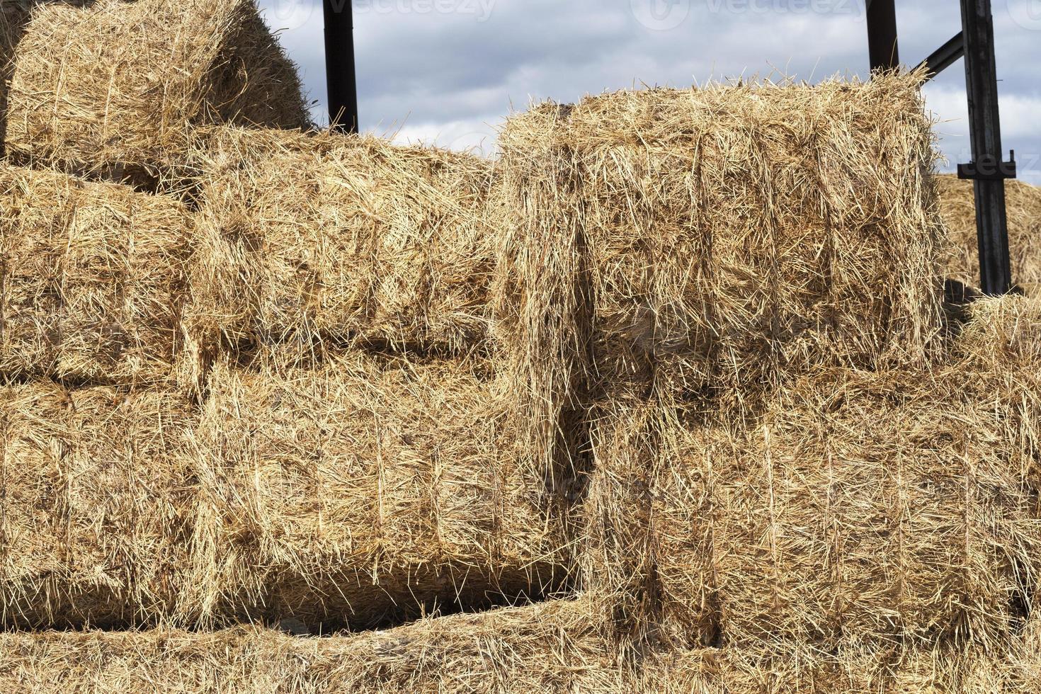 details of the barn photo