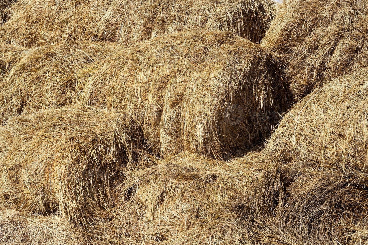 Heaped straw stacks photo