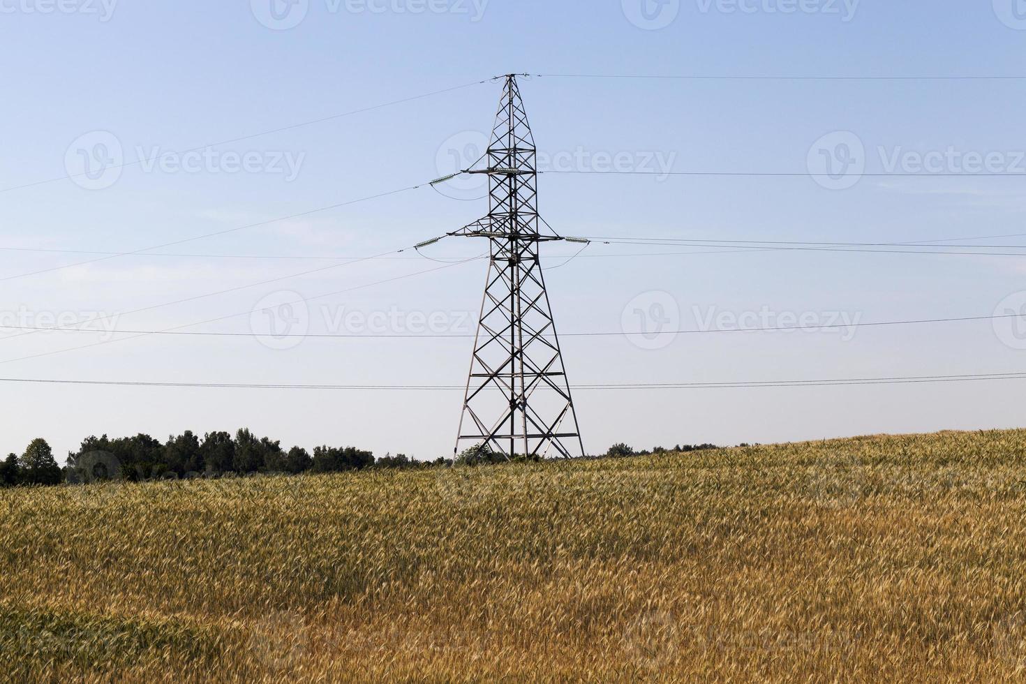 metal poles, field photo