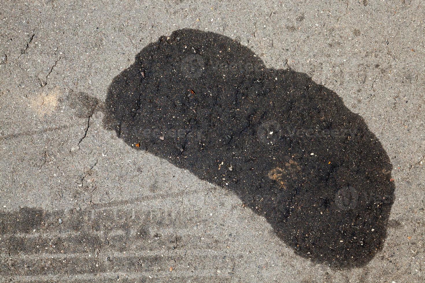 car oil stains on an asphalt road photo