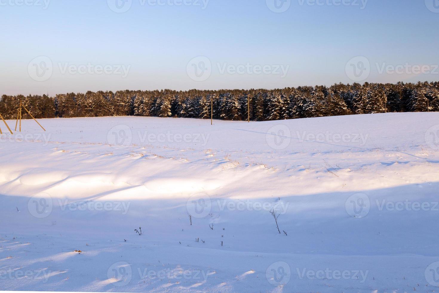 the field covered with snow photo