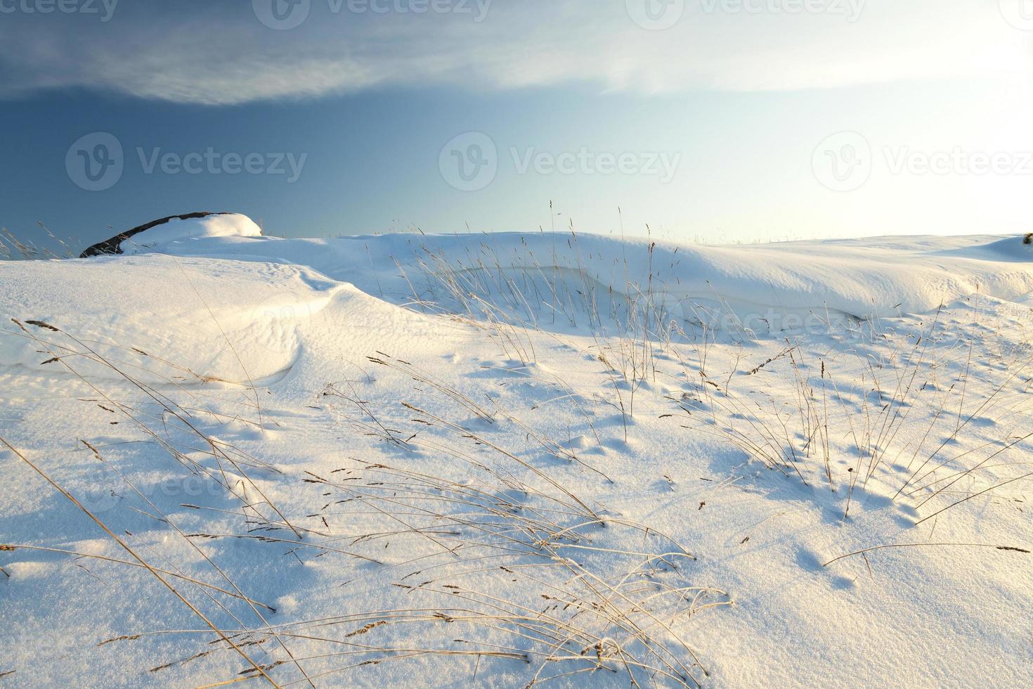 the field covered with snow photo