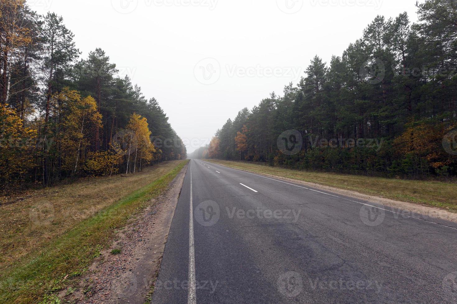 autumn road with deciduous trees photo