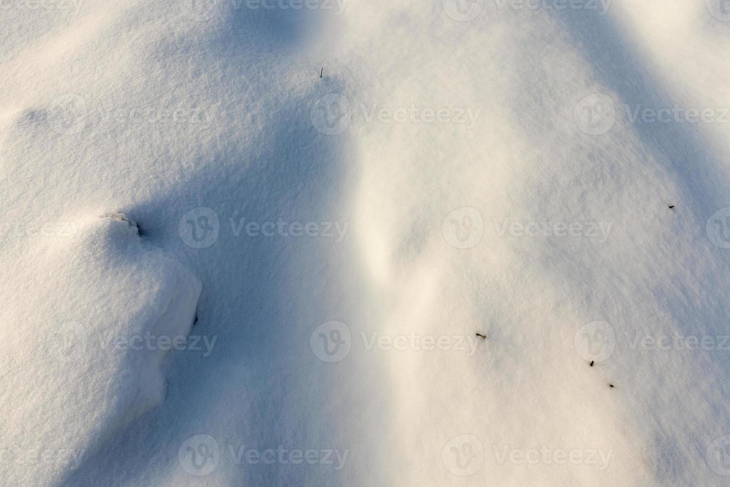 covered soil and grass with a thick layer of snow after a cyclone photo
