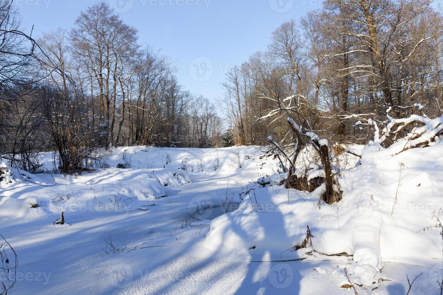 a narrow river in the forest in winter photo