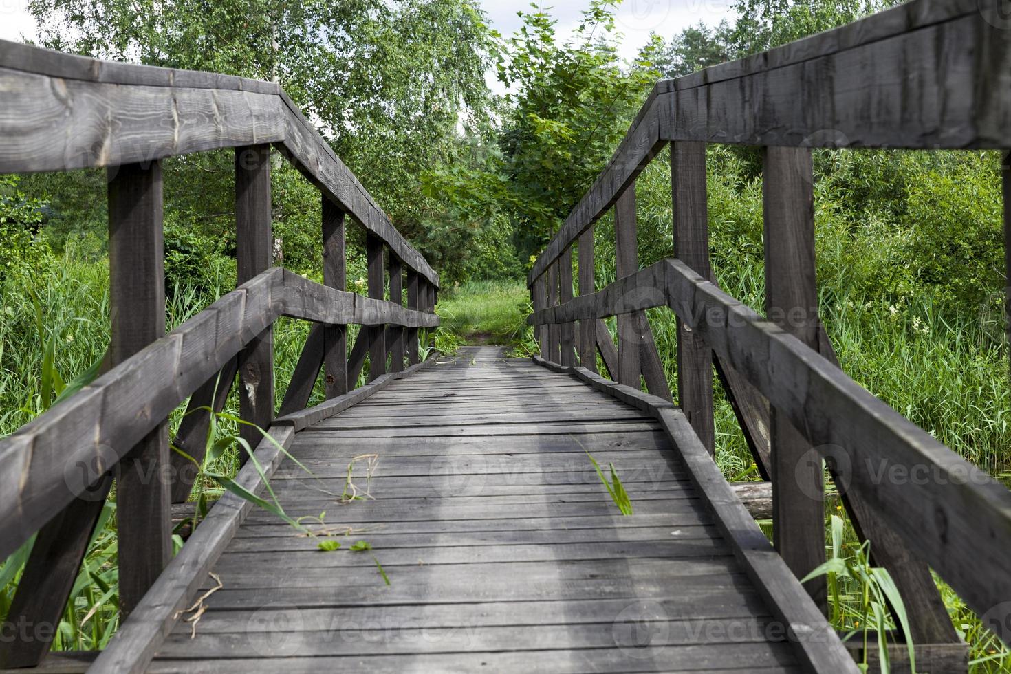 old wooden bridge built on the lake photo