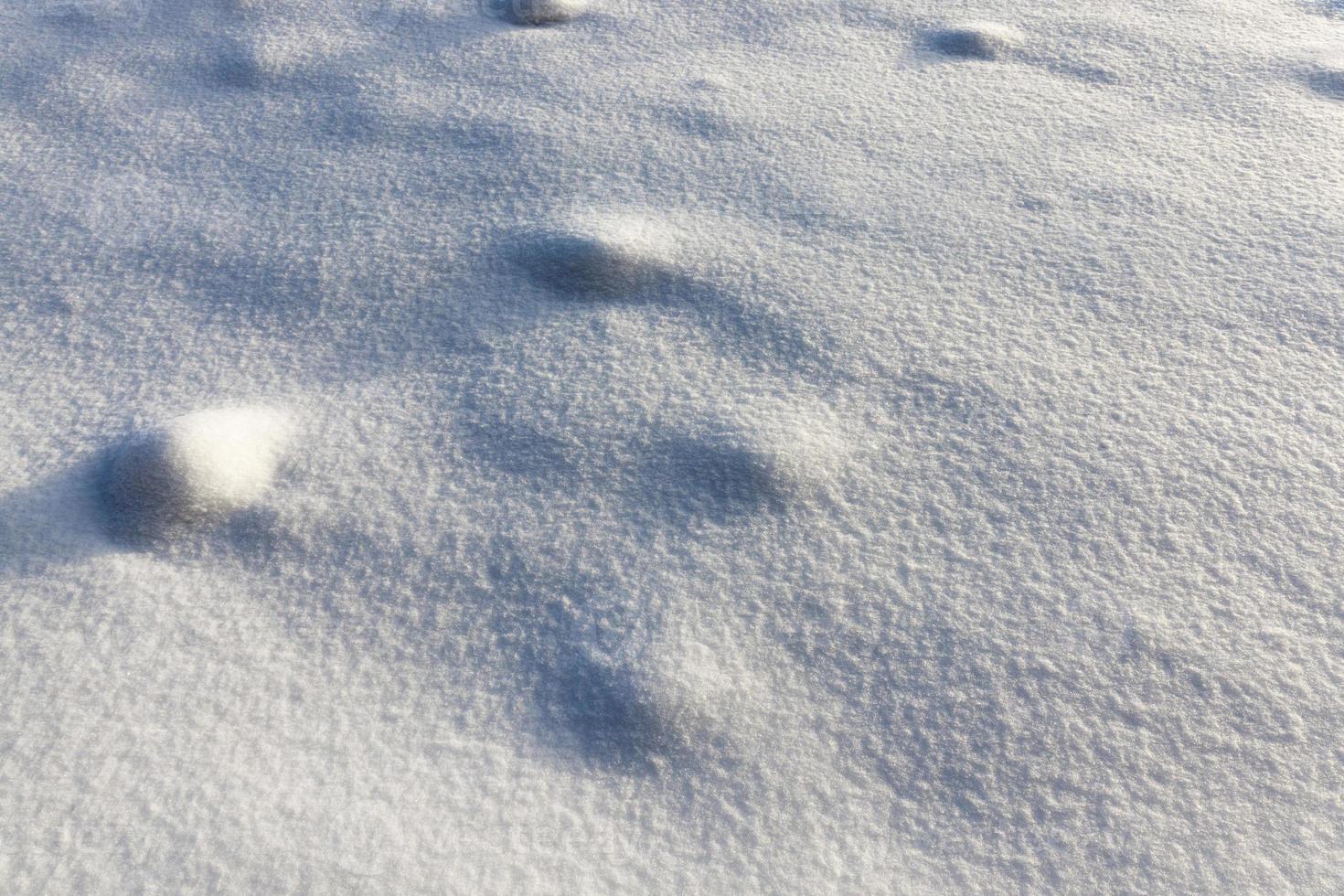 snow drifts in the winter season photo