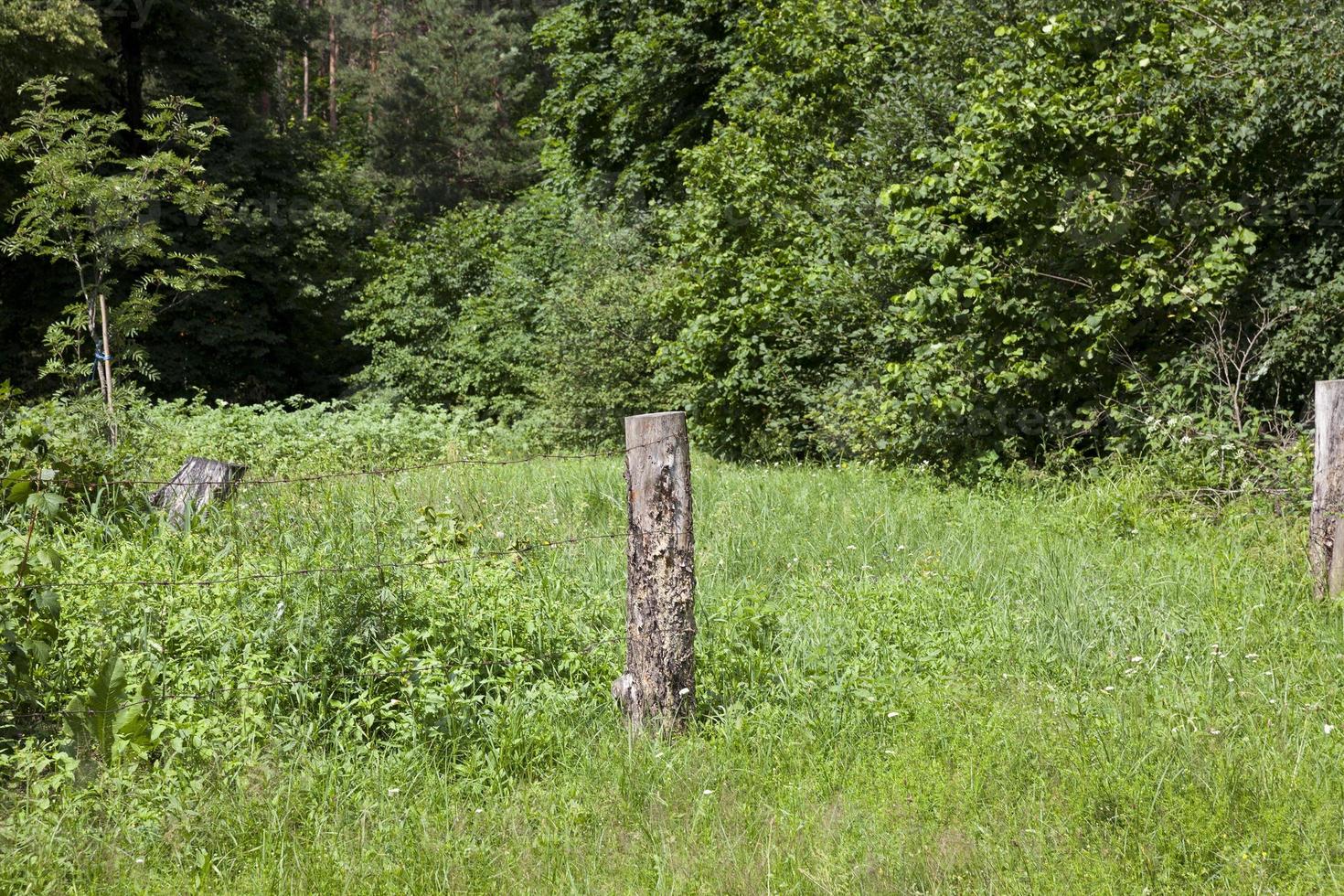 part of the old wooden fence fence with barbed wire photo